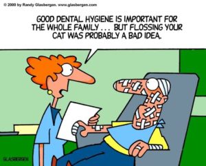 dental humor